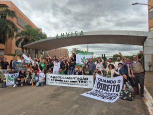 Quando os pacientes viram política pública: o novo momento da cannabis medicinal no Brasil.